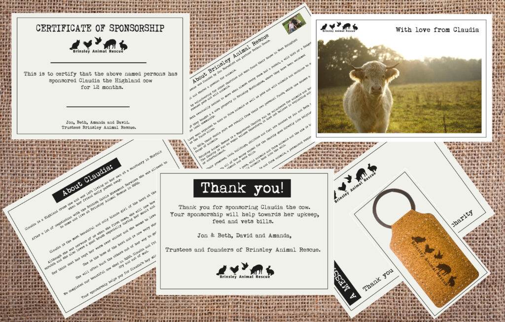 Sponsor Claudia The Cow