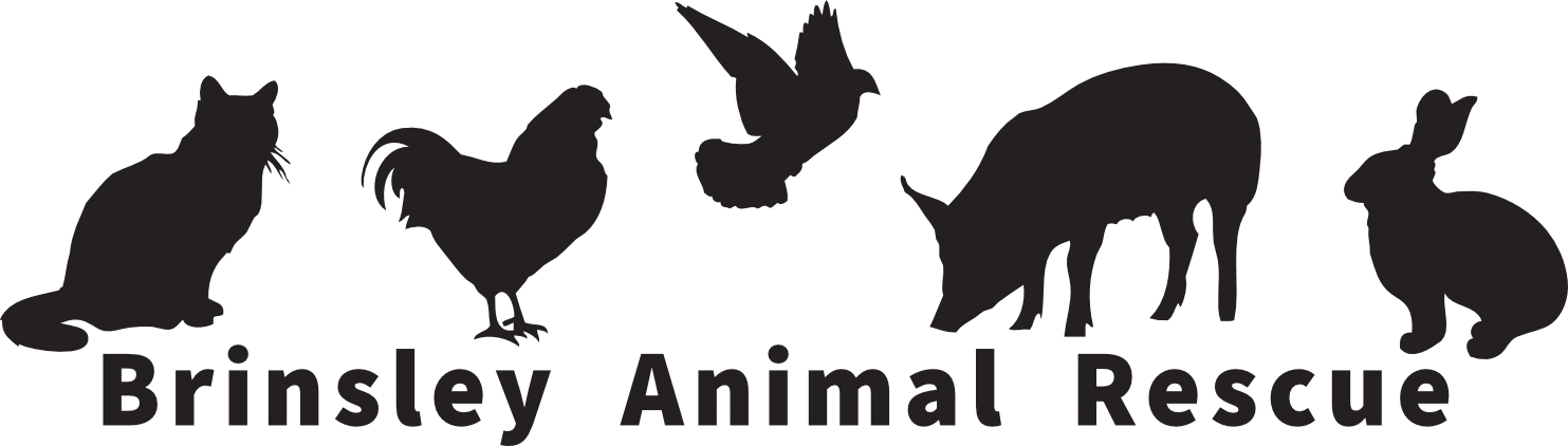 Brinsley Animal Rescue