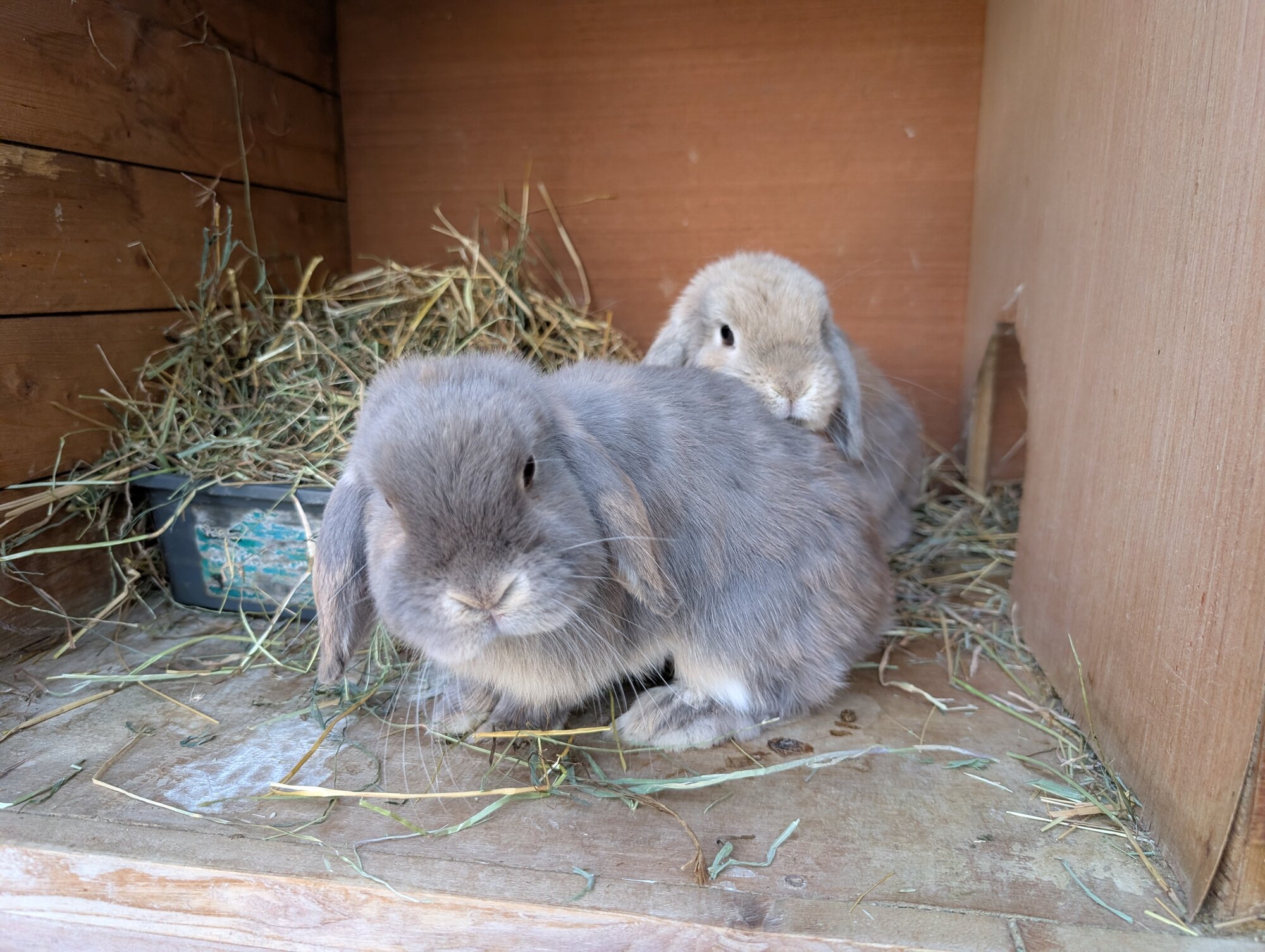Sadie & Claudia — photo 1